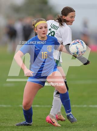 Conifer @ Wheat Ridge