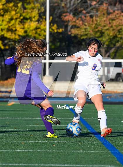 Thumbnail 3 in Garfield @ Lodi photogallery.