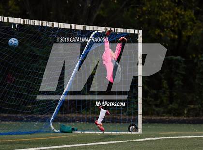 Thumbnail 2 in Garfield @ Lodi photogallery.