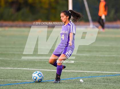 Thumbnail 2 in Garfield @ Lodi photogallery.