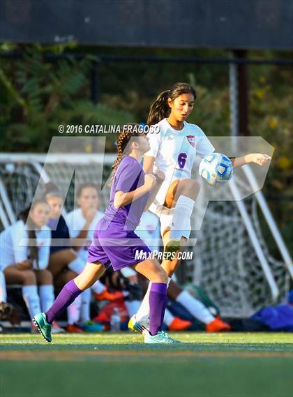 Thumbnail 2 in Garfield @ Lodi photogallery.