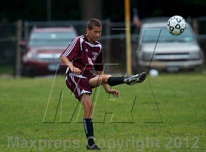 Thumbnail 1 in Clarke @ East Meadow  photogallery.