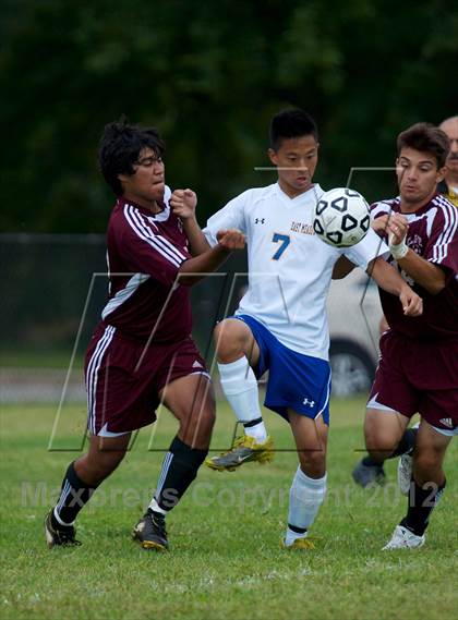 Thumbnail 3 in Clarke @ East Meadow  photogallery.