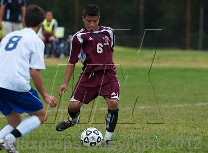 Thumbnail 3 in Clarke @ East Meadow  photogallery.