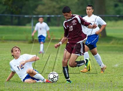 Thumbnail 2 in Clarke @ East Meadow  photogallery.