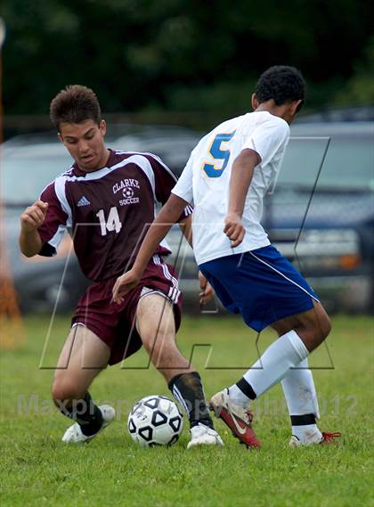 Thumbnail 3 in Clarke @ East Meadow  photogallery.