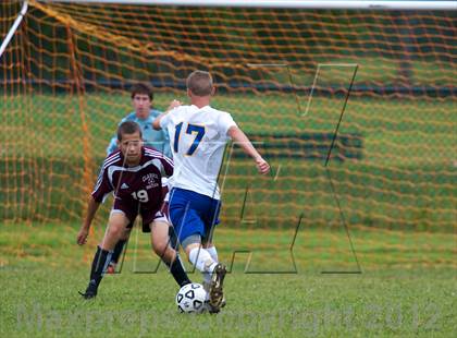 Thumbnail 3 in Clarke @ East Meadow  photogallery.