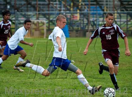 Thumbnail 2 in Clarke @ East Meadow  photogallery.