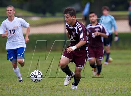 Thumbnail 2 in Clarke @ East Meadow  photogallery.