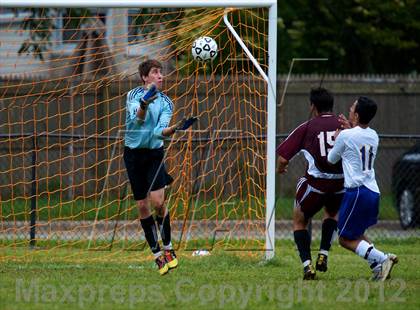 Thumbnail 2 in Clarke @ East Meadow  photogallery.