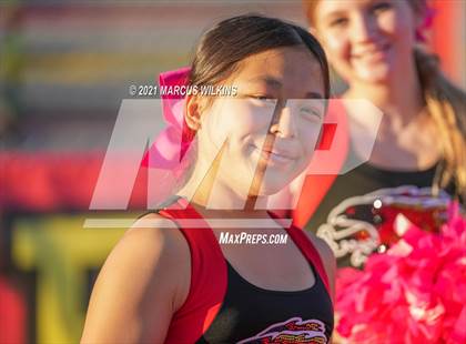 Thumbnail 1 in Hamilton @ Chaparral photogallery.
