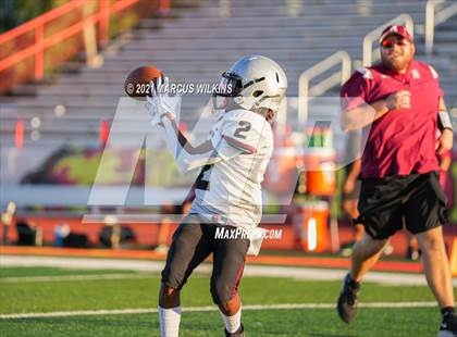 Thumbnail 3 in Hamilton @ Chaparral photogallery.