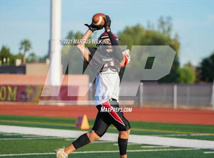 Thumbnail 2 in Hamilton @ Chaparral photogallery.