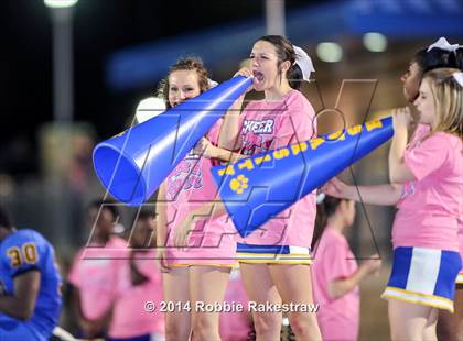 Thumbnail 2 in Whitehouse @ Corsicana photogallery.