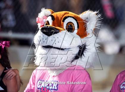 Thumbnail 2 in Whitehouse @ Corsicana photogallery.