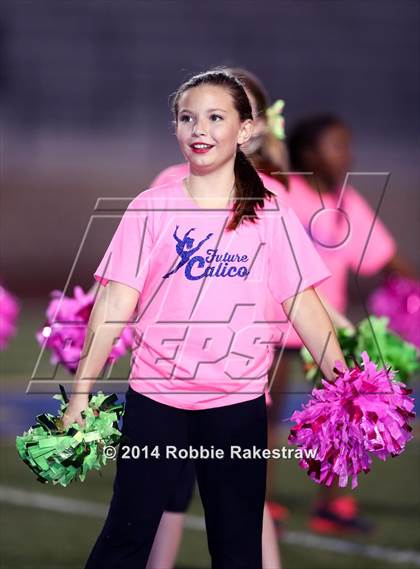 Thumbnail 2 in Whitehouse @ Corsicana photogallery.