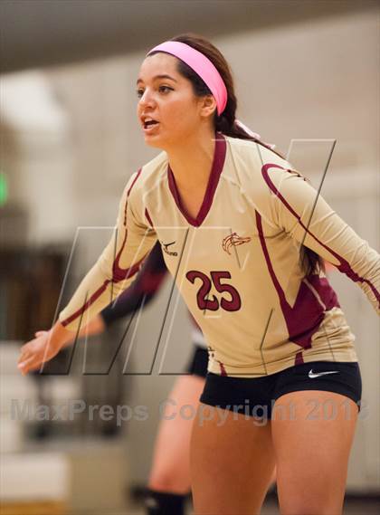 Thumbnail 1 in Chaparral @ Ponderosa photogallery.