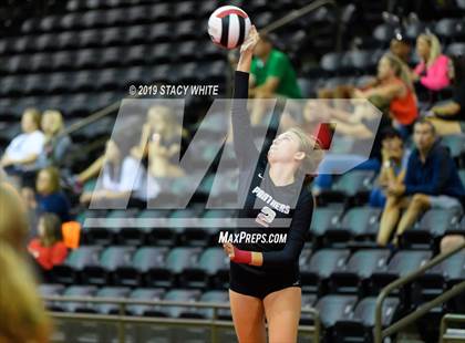 Thumbnail 1 in Port Charlotte vs. Plant (Circus City Invitational) photogallery.