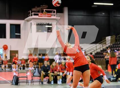 Thumbnail 2 in Port Charlotte vs. Plant (Circus City Invitational) photogallery.