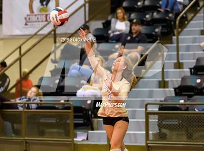 Thumbnail 1 in Port Charlotte vs. Plant (Circus City Invitational) photogallery.