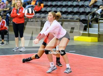 Thumbnail 1 in Port Charlotte vs. Plant (Circus City Invitational) photogallery.