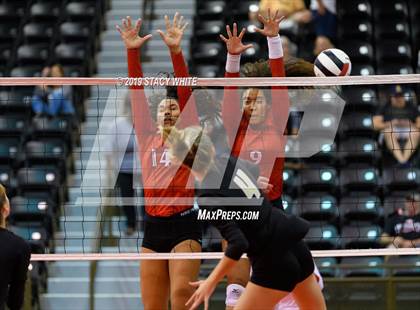 Thumbnail 1 in Port Charlotte vs. Plant (Circus City Invitational) photogallery.