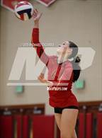 Photo from the gallery "Arizona College Prep @ Chaparral"