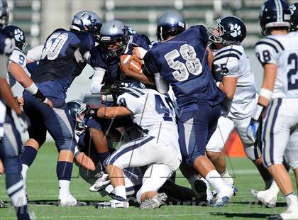 Thumbnail 3 in Marin Catholic vs. Madison (CIF State D3 Final) photogallery.