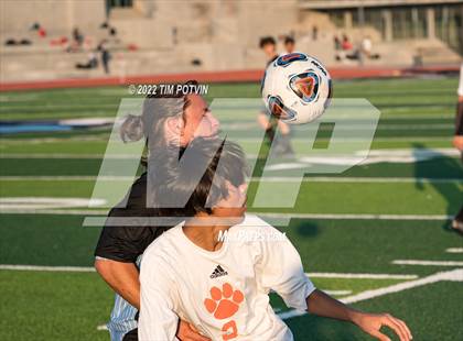 Thumbnail 3 in Poly vs Liberty photogallery.