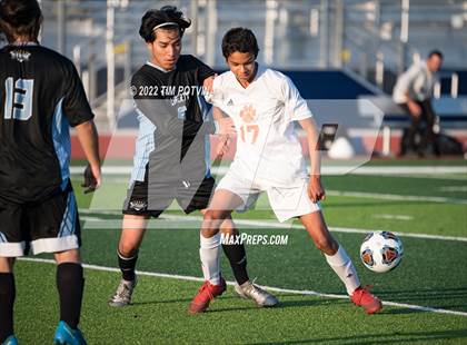 Thumbnail 2 in Poly vs Liberty photogallery.