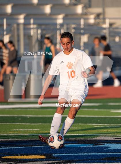 Thumbnail 1 in Poly vs Liberty photogallery.