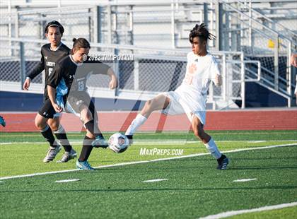 Thumbnail 3 in Poly vs Liberty photogallery.