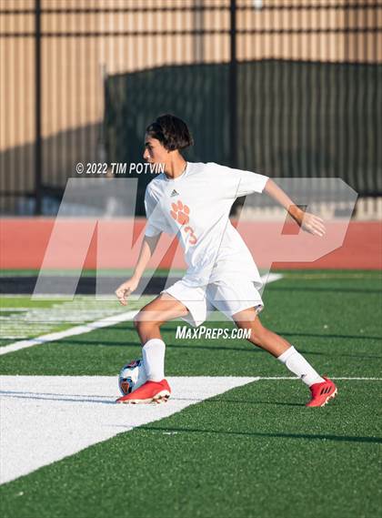 Thumbnail 2 in Poly vs Liberty photogallery.