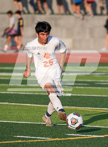 Thumbnail 3 in Poly vs Liberty photogallery.