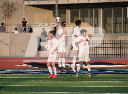 Thumbnail 1 in Poly vs Liberty photogallery.