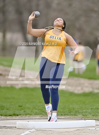 Thumbnail 2 in Delta @ Wapahani (Shot Put) photogallery.