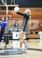 Photo from the gallery "South Central @ Havelock"