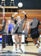 Photo from the gallery "South Central @ Havelock"