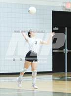 Photo from the gallery "South Central @ Havelock"