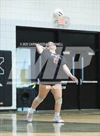 Photo from the gallery "South Central @ Havelock"