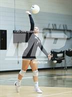 Photo from the gallery "South Central @ Havelock"