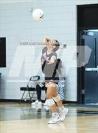 Photo from the gallery "South Central @ Havelock"