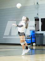 Photo from the gallery "South Central @ Havelock"