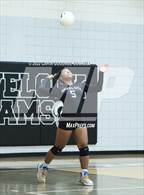 Photo from the gallery "South Central @ Havelock"