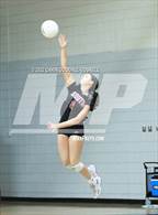 Photo from the gallery "South Central @ Havelock"