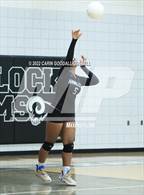 Photo from the gallery "South Central @ Havelock"