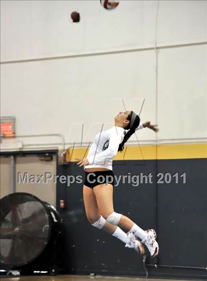 Thumbnail 1 in Rosary vs. Millikan (Molten Classic) photogallery.