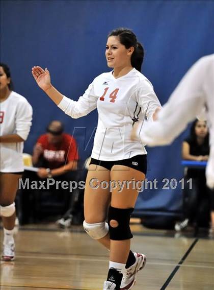 Thumbnail 1 in Rosary vs. Millikan (Molten Classic) photogallery.