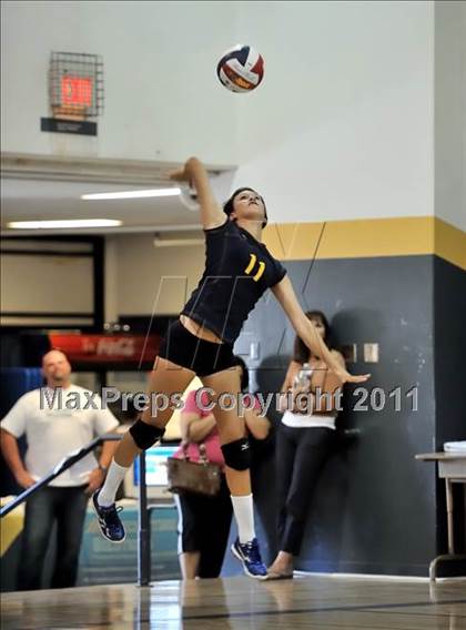 Thumbnail 3 in Rosary vs. Millikan (Molten Classic) photogallery.