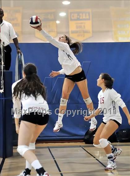 Thumbnail 3 in Rosary vs. Millikan (Molten Classic) photogallery.